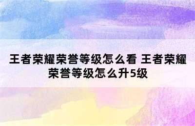 王者荣耀荣誉等级怎么看 王者荣耀荣誉等级怎么升5级